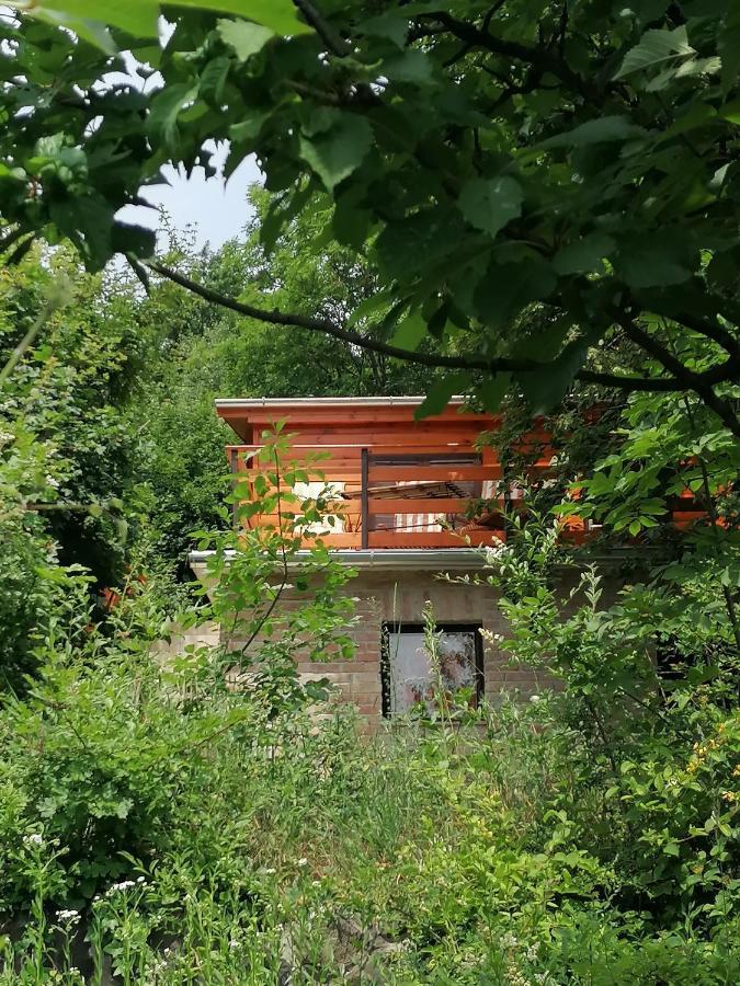 Barkoca Es Szepkilatas Vendeghaz / Cabin Kismaros Luaran gambar